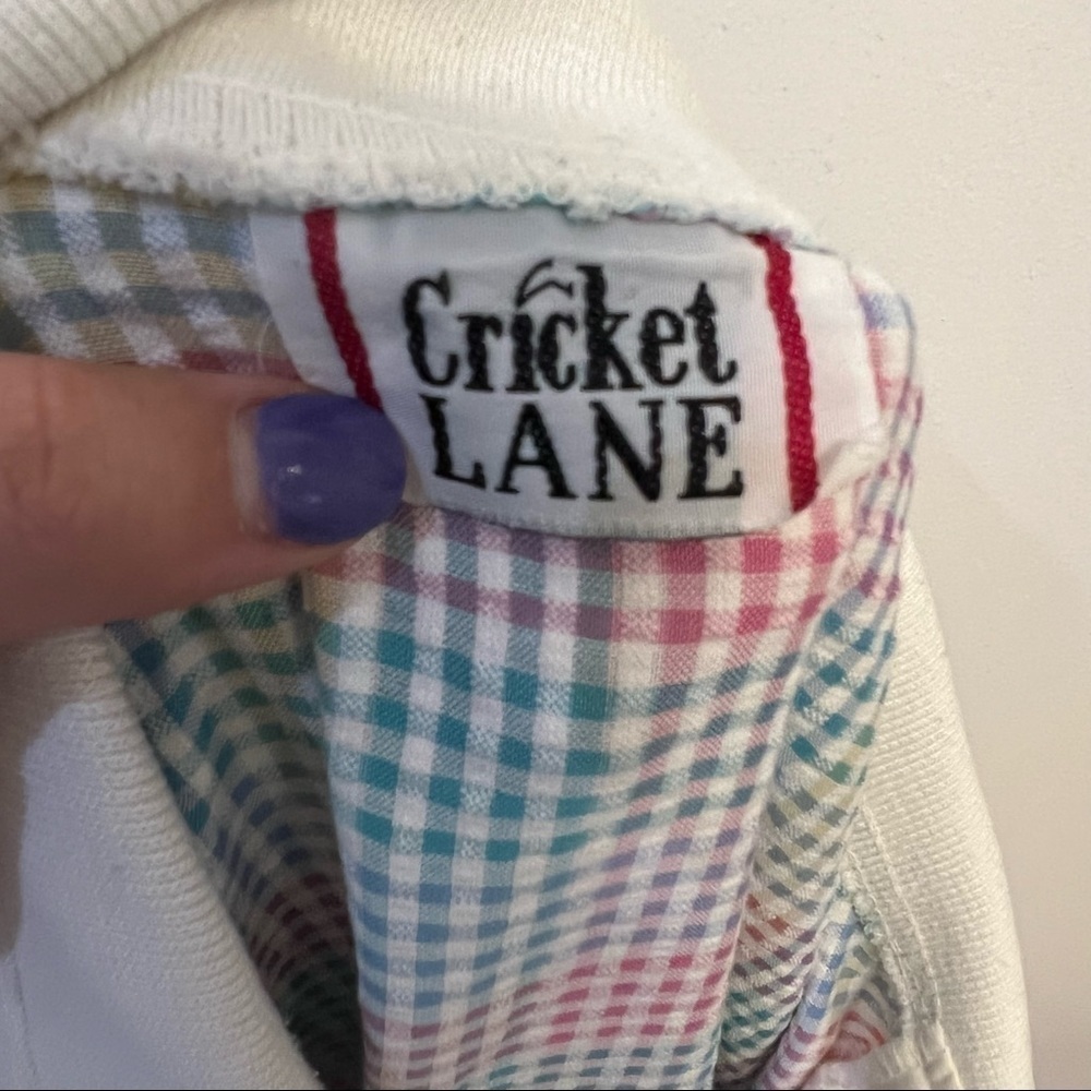 Vintage Cricket Lane Pastel Checkered Polo Shirt - Picture 4 of 6